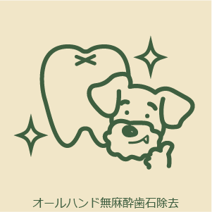 オールハンド無麻酔歯石除去